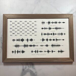 NEW Pledge Of Allegiance Soundwave Flag Framed Canvas 11x17in Black White 1776